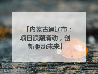 内蒙古通辽市：项目浪潮涌动，创新驱动未来