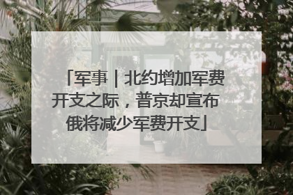 军事｜北约增加军费开支之际，普京却宣布俄将减少军费开支
