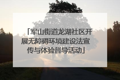 军山街道龙湖社区开展无障碍环境建设法宣传与体验督导活动