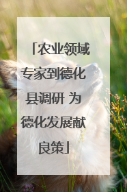 农业领域专家到德化县调研 为德化发展献良策