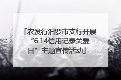 农发行汨罗市支行开展“6·14信用记录关爱日”主题宣传活动