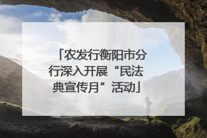 农发行衡阳市分行深入开展“民法典宣传月”活动