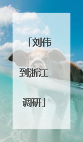 刘伟到浙江调研