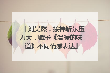 刘昊然：接棒靳东压力大，赋予《温暖的味道》不同情感表达