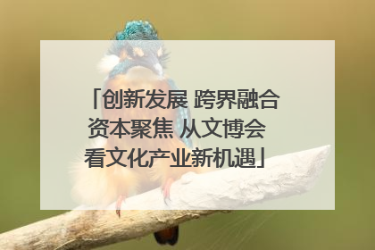 创新发展 跨界融合 资本聚焦 从文博会看文化产业新机遇