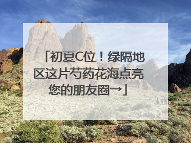 初夏C位！绿隔地区这片芍药花海点亮您的朋友圈→