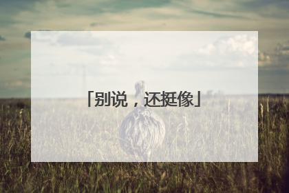 别说，还挺像