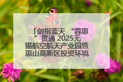 剑指蓝天 “蓉惠”贯通 2025无锡航空航天产业园暨惠山高新区投资环境推介会在成都举行