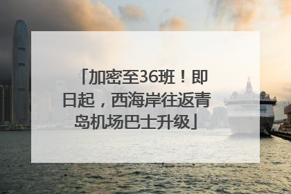 加密至36班！即日起，西海岸往返青岛机场巴士升级