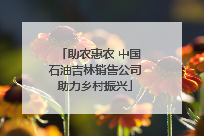 助农惠农 中国石油吉林销售公司助力乡村振兴