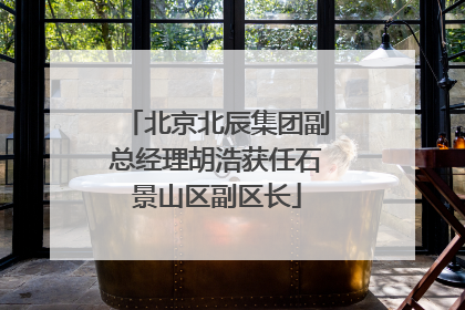 北京北辰集团副总经理胡浩获任石景山区副区长