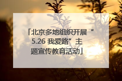 北京多地组织开展“5.26 我爱路”主题宣传教育活动