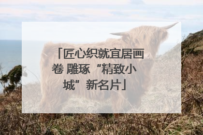 匠心织就宜居画卷 雕琢“精致小城”新名片