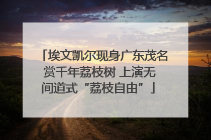 埃文凯尔现身广东茂名 赏千年荔枝树 上演无间道式“荔枝自由”