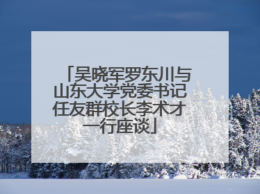 吴晓军罗东川与山东大学党委书记任友群校长李术才一行座谈