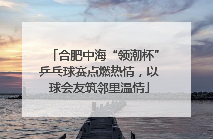 合肥中海“领潮杯”乒乓球赛点燃热情，以球会友筑邻里温情