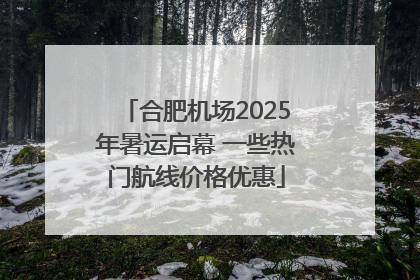 合肥机场2025年暑运启幕 一些热门航线价格优惠
