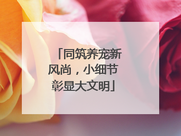 同筑养宠新风尚，小细节彰显大文明