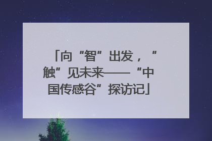 向“智”出发，“触”见未来——“中国传感谷”探访记