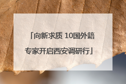向新求质 10国外籍专家开启西安调研行