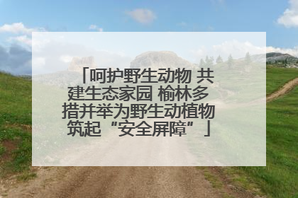 呵护野生动物 共建生态家园 榆林多措并举为野生动植物筑起“安全屏障”