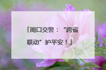 周口交警：“跨省联动”护平安！