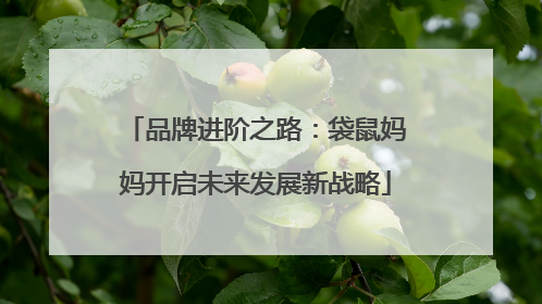 品牌进阶之路：袋鼠妈妈开启未来发展新战略