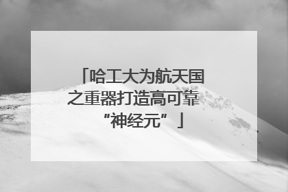 哈工大为航天国之重器打造高可靠“神经元”