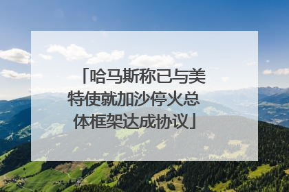 哈马斯称已与美特使就加沙停火总体框架达成协议
