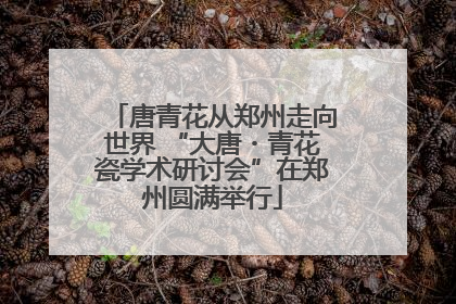 唐青花从郑州走向世界 “大唐・青花瓷学术研讨会”在郑州圆满举行