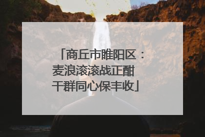商丘市睢阳区：麦浪滚滚战正酣 干群同心保丰收