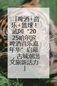 啤酒+音乐+篮球！武冈“2025哈尔滨啤酒音乐嘉年华”启幕，古城潮出文旅新活力