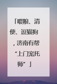 喂粮、清便、逗猫狗，济南有帮“上门宠托师”