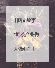 图文故事｜“把茶产业做大做强”