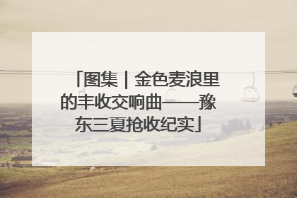 图集｜金色麦浪里的丰收交响曲——豫东三夏抢收纪实