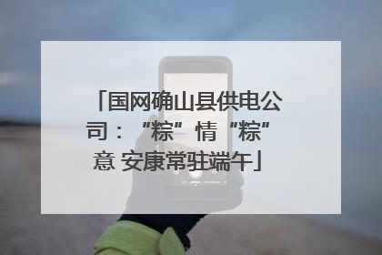 国网确山县供电公司：“粽”情“粽”意 安康常驻端午