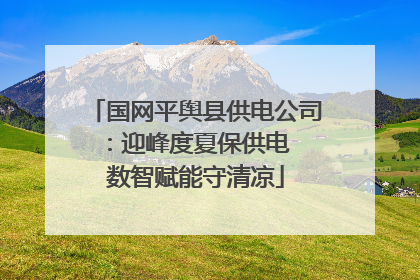 国网平舆县供电公司：迎峰度夏保供电  数智赋能守清凉