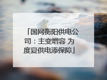 国网衡阳供电公司：主变增容 为度夏供电添保障