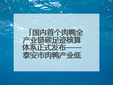 国内首个肉鸭全产业链碳足迹核算体系正式发布——泰安市肉鸭产业低碳发展标准示范项目顺利通过验收