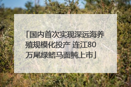 国内首次实现深远海养殖规模化投产 连江80万尾绿鳍马面鲀上市