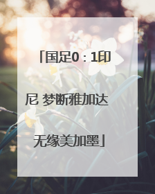 国足0∶1印尼 梦断雅加达 无缘美加墨