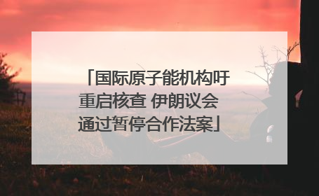 国际原子能机构吁重启核查 伊朗议会通过暂停合作法案