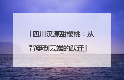 四川汉源甜樱桃：从背篓到云端的跃迁