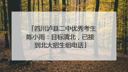 四川泸县二中优秀考生陈小雨：目标清北，已接到北大招生组电话