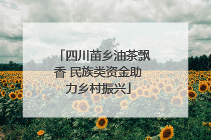 四川苗乡油茶飘香 民族类资金助力乡村振兴
