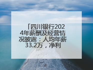四川银行2024年薪酬及经营情况披露：人均年薪33.2万，净利润突破20亿