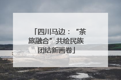 四川马边：“茶旅融合”共绘民族团结新画卷
