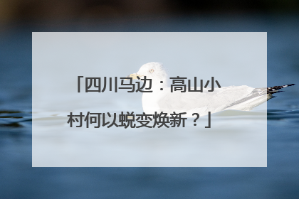 四川马边：高山小村何以蜕变焕新？