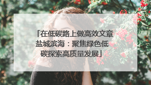 在低碳路上做高效文章 盐城滨海：聚焦绿色低碳探索高质量发展