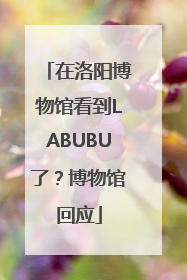 在洛阳博物馆看到LABUBU了？博物馆回应